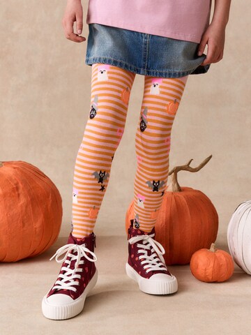 Next Panty's 'Halloween' in Roze