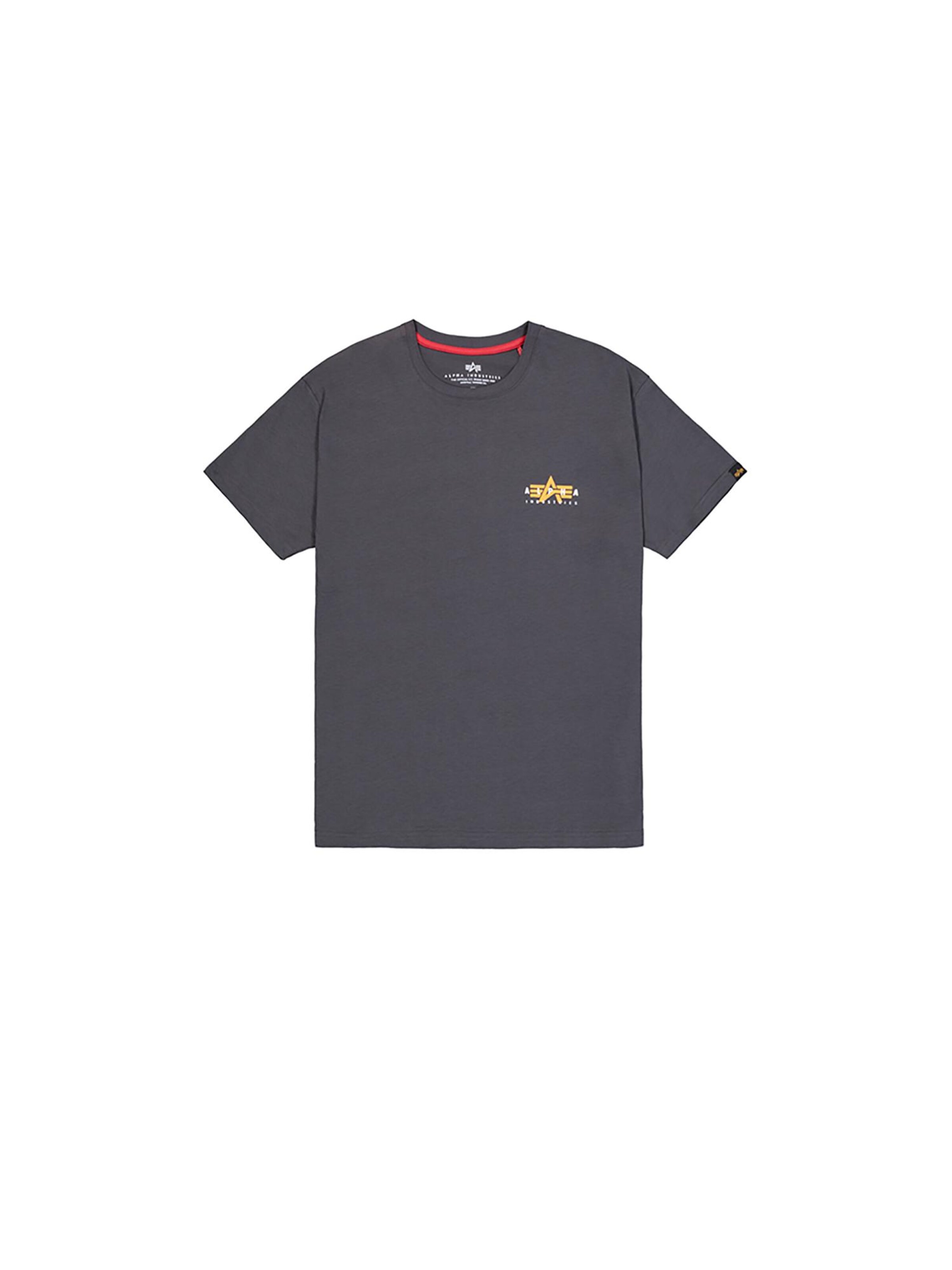 ALPHA INDUSTRIES T-Shirt in Grau: Vorderseite