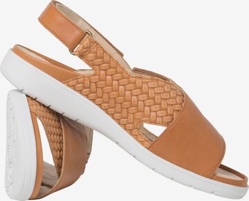 Ganter Sandalen met riem in Bruin