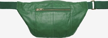 Orchid Fanny Pack 'Freesia' in Green: front
