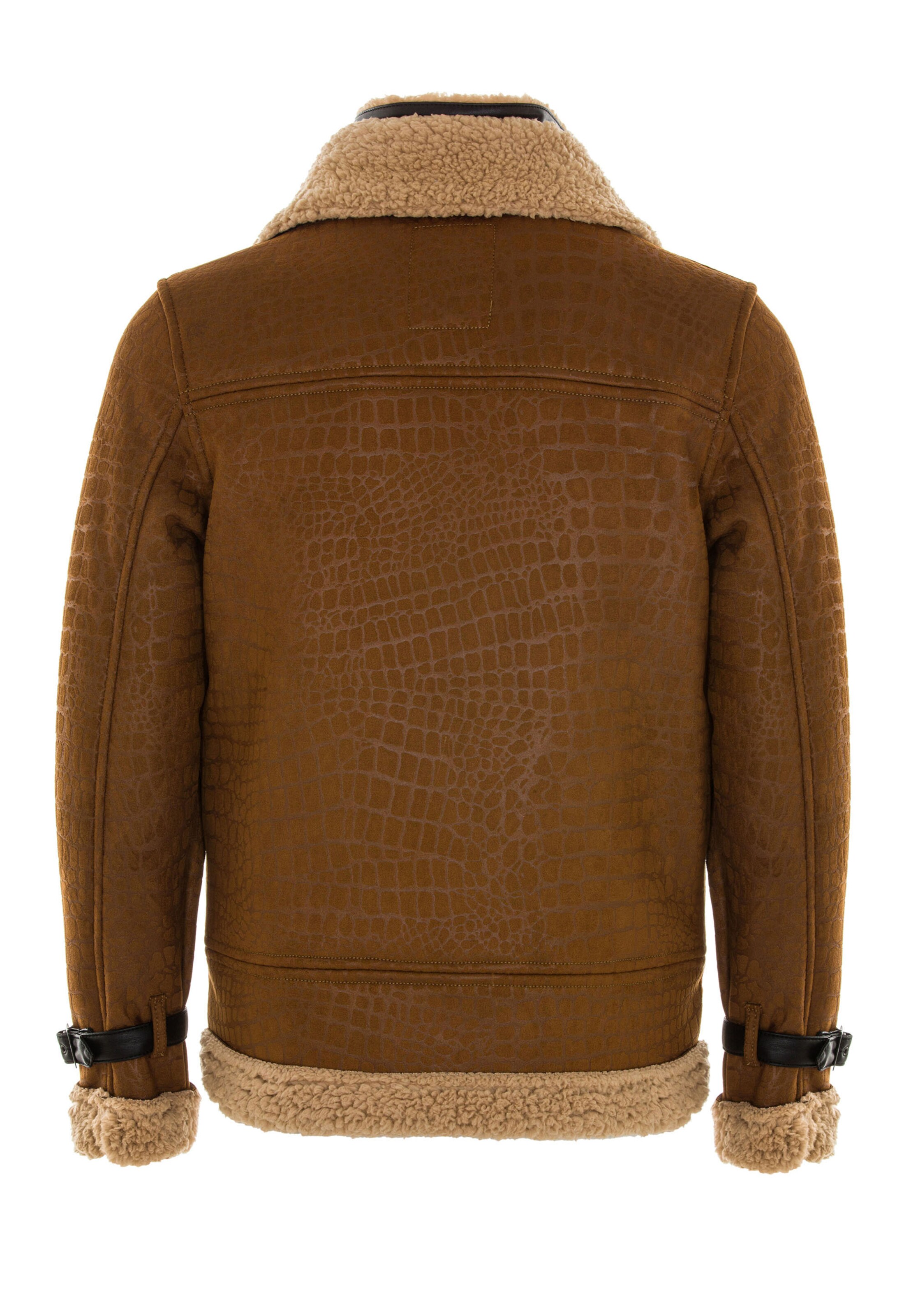 CIPO & BAXX Tussenjas in Bruin