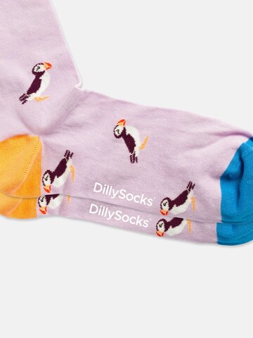 DillySocks Socken 'Cat & Puffin & Capricorn' in Mischfarben