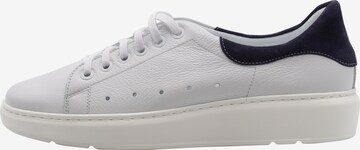 DreiMaster Maritim Sneakers in White: front