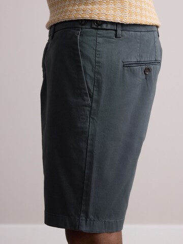 Next Regular Chino Pants in Blue