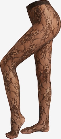 CALZEDONIA Tights in Brown: front