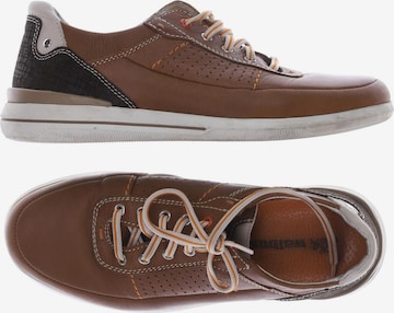 Walbusch Sneakers & Trainers in 39 in Brown: front