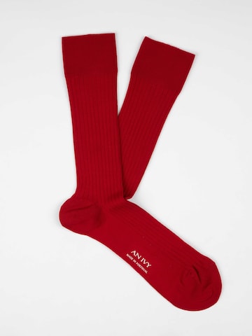 AN IVY Sokker i rød: forside