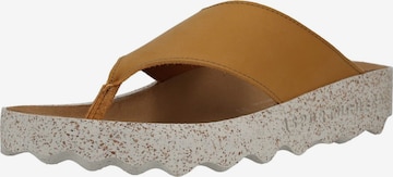 Tongs Asportuguesas en marron : devant