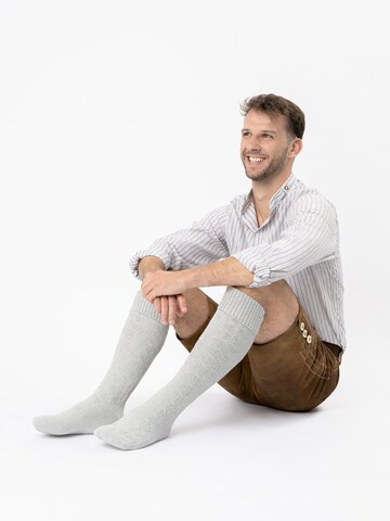 HerzSticht Trachtensocken 'Silberdistel' in Grau: Vorderseite