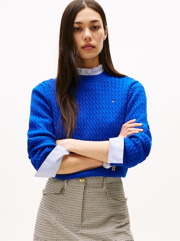 TOMMY HILFIGER Свитер в Синий: спереди