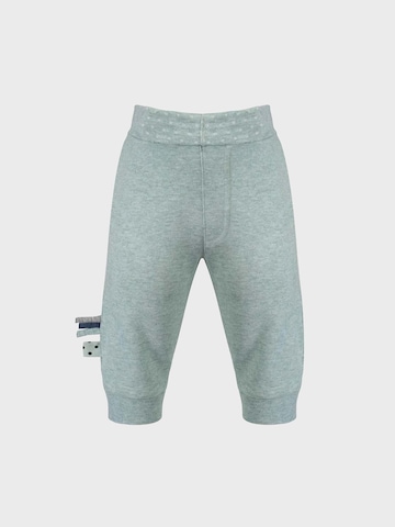 OrganicEra Regular Pants in Blue: front