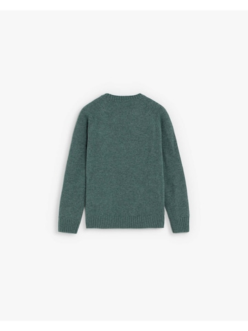 Scalpers Sweater 'Simon' in Green: back