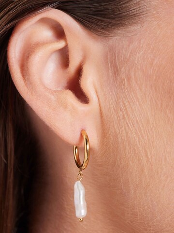 Lucardi Earrings in Gold: front