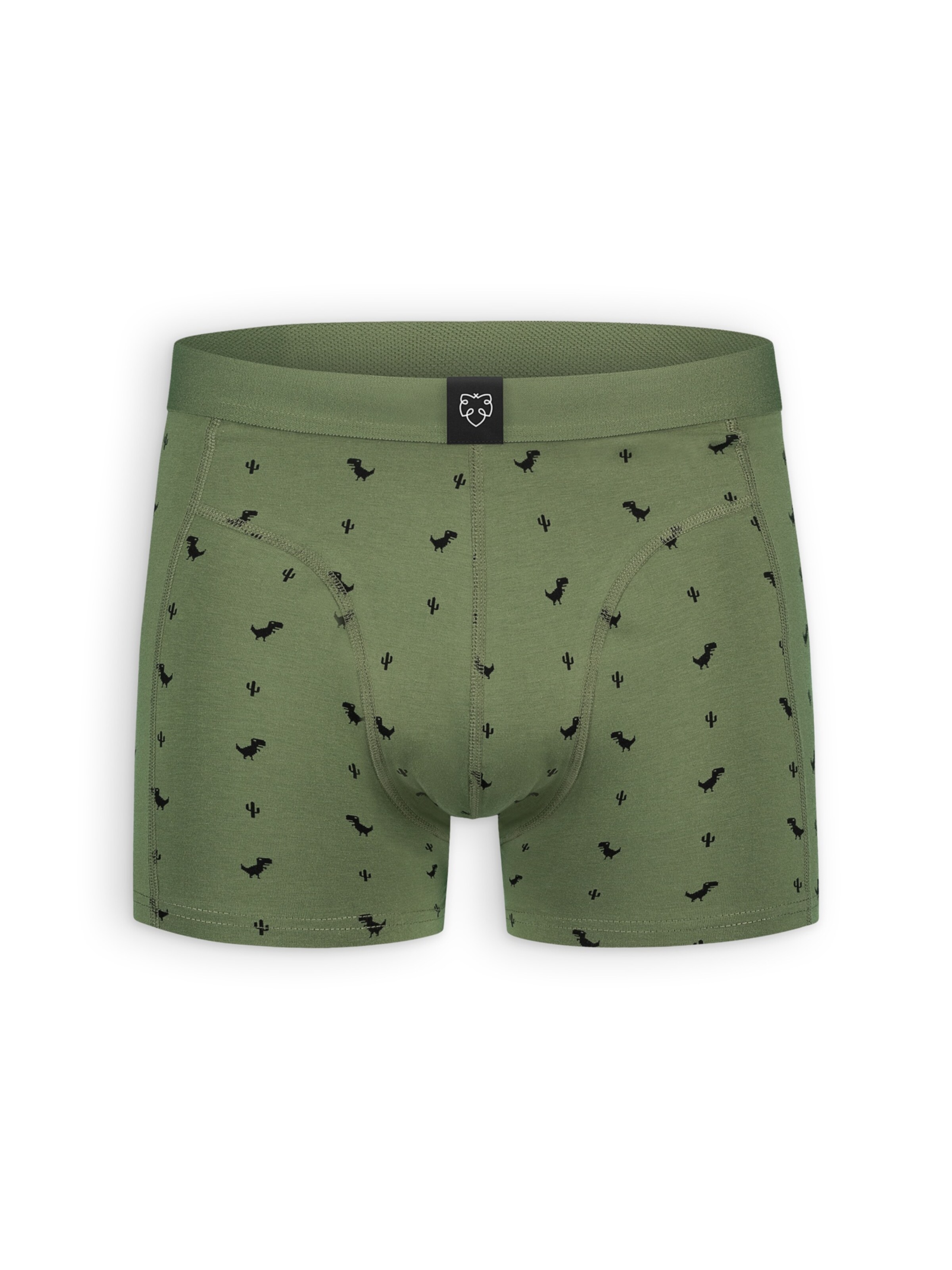 A-dam Boxer shorts in Green: front