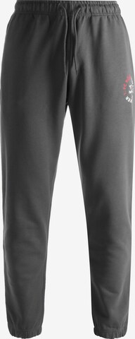 Hummel Tapered Workout Pants '1. FC Köln' in Grey: front