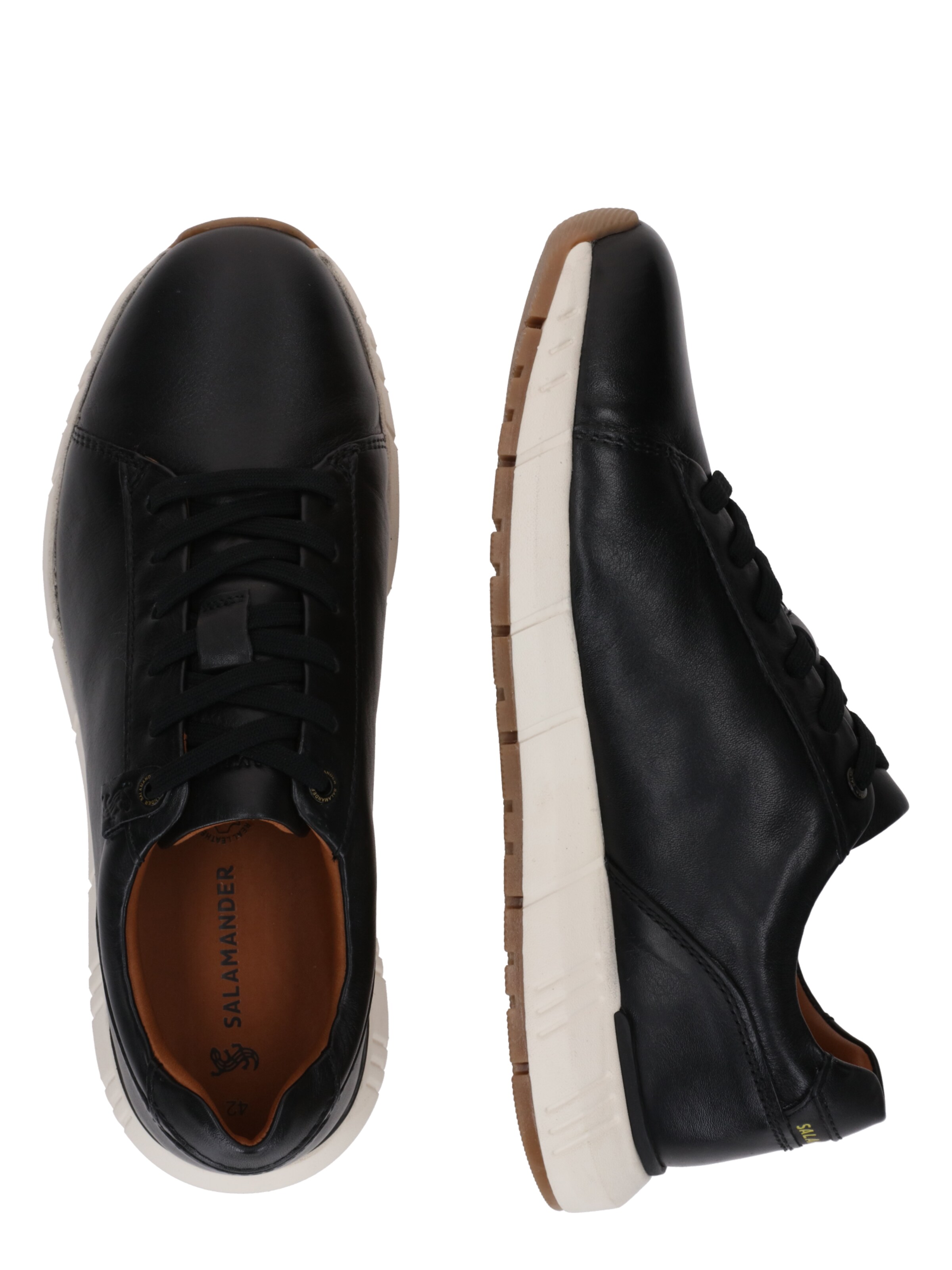 SALAMANDER Низкие кроссовки в Черный