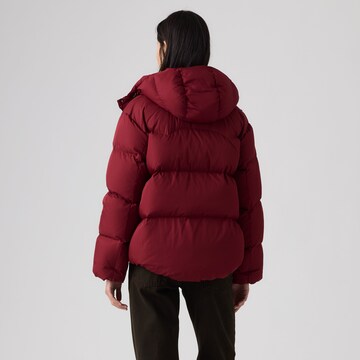 LEVI'S ® Winterjas 'TATE' in Rood