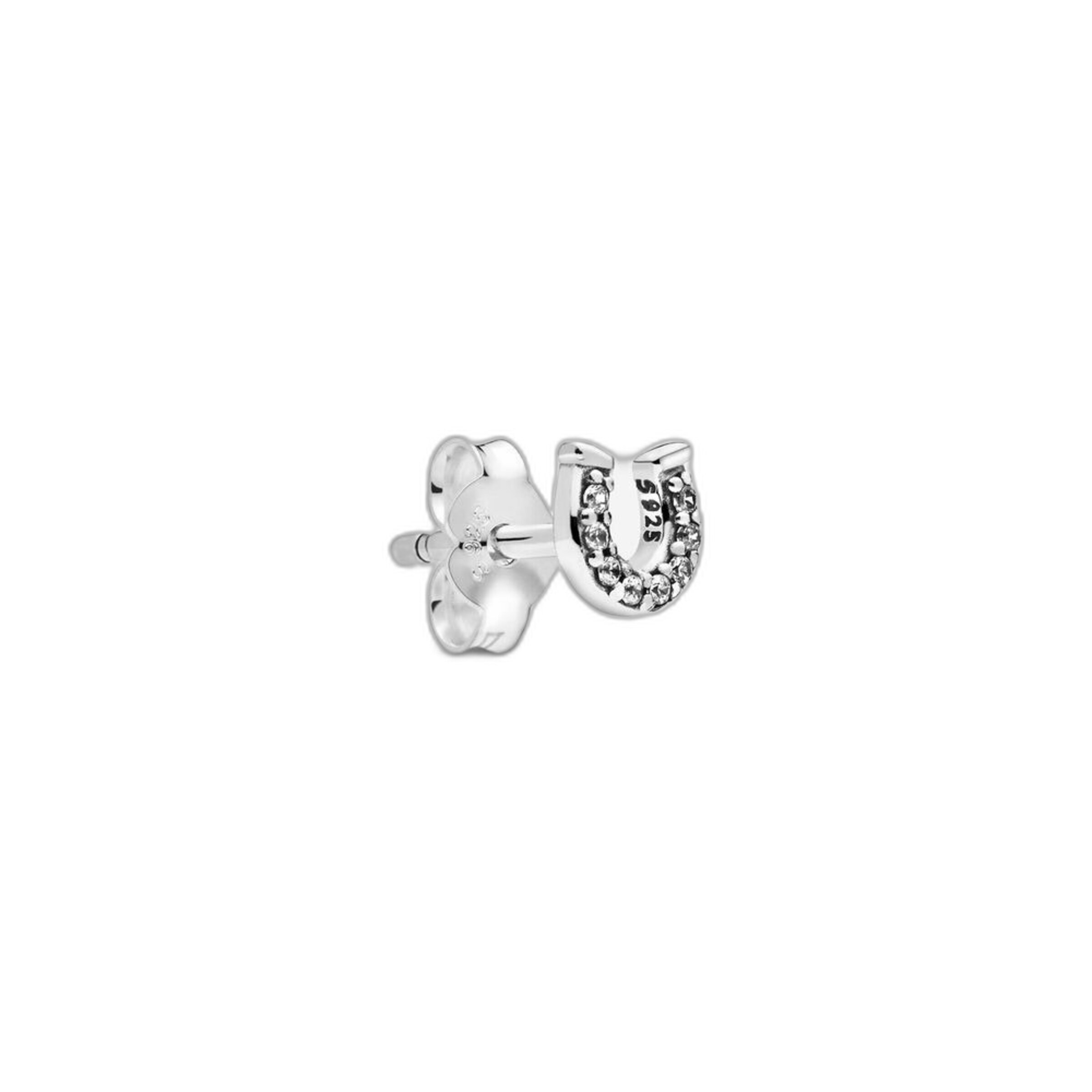Pandora Earrings in Silver: front
