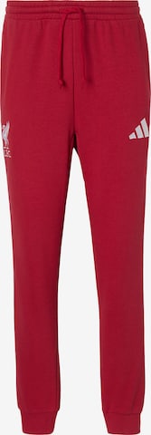 ADIDAS PERFORMANCEregular Hlače - crvena boja: prednji dio