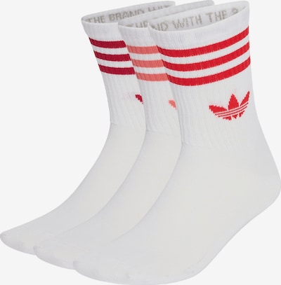 31-33 dydžio Kojinės iš ADIDAS ORIGINALS, spalva – raudona / melionų spalva / tamsiai raudona / balta, Prekių apžvalga