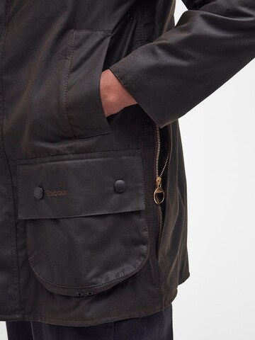 Barbour Winter coat in Green