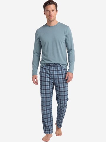 Ammann Shirt 'Mix & Match' in Green