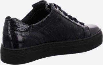 SEMLER Lace-Up Shoes in Black