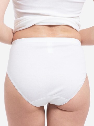 SPEIDEL Slip 'bio.cotton Sport Edition'‌‌‌‌‌‌‌ in Weiß