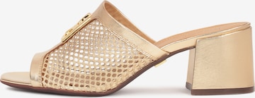 Kazar Mules in Gold: front