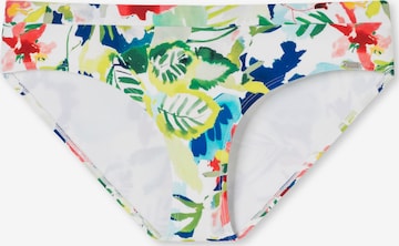 SCHIESSER Bikini Bottoms 'Aqua Mix & Match Nautical' in Mixed colors: front