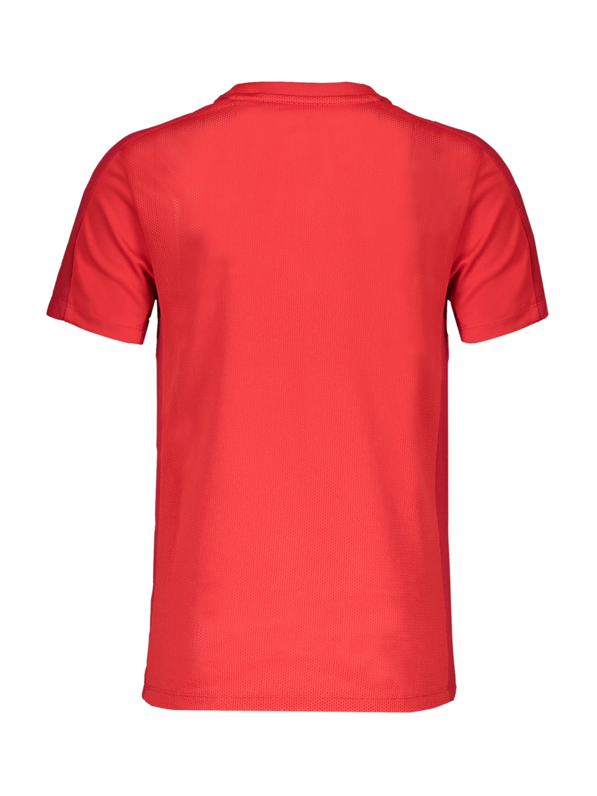 NIKE Funktionsshirt 'Academy 23' in Rot