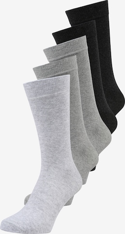 Götzburg Socks in Grey: front