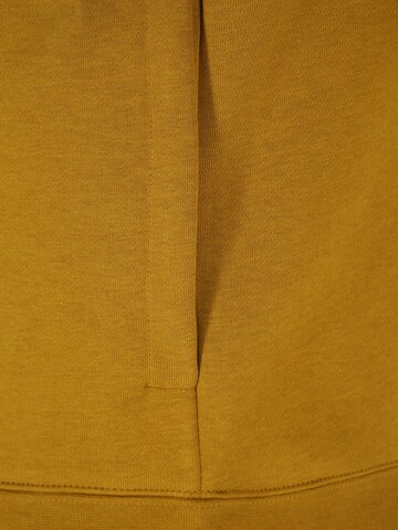 Nike Sportswear Sweatshirt 'Club' i brun