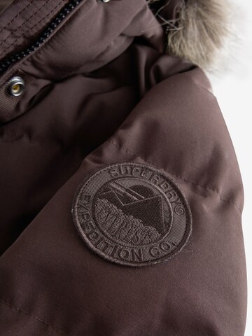 Superdry & Co - Chaqueta de invierno en marrón