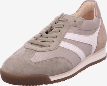GABOR Lace-Up Shoes in Brown: front