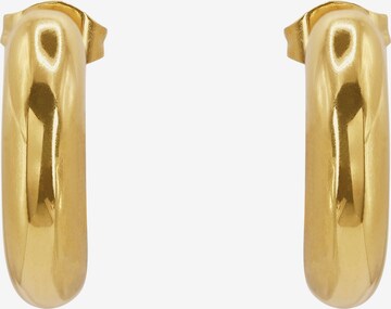 Boucles d'oreilles 'Caius ' Heideman en or