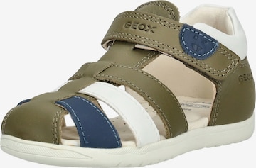 GEOX Open shoes 'Maccnia' in Green: front