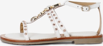 Sandalo di CAFè NOIR in bianco: frontale