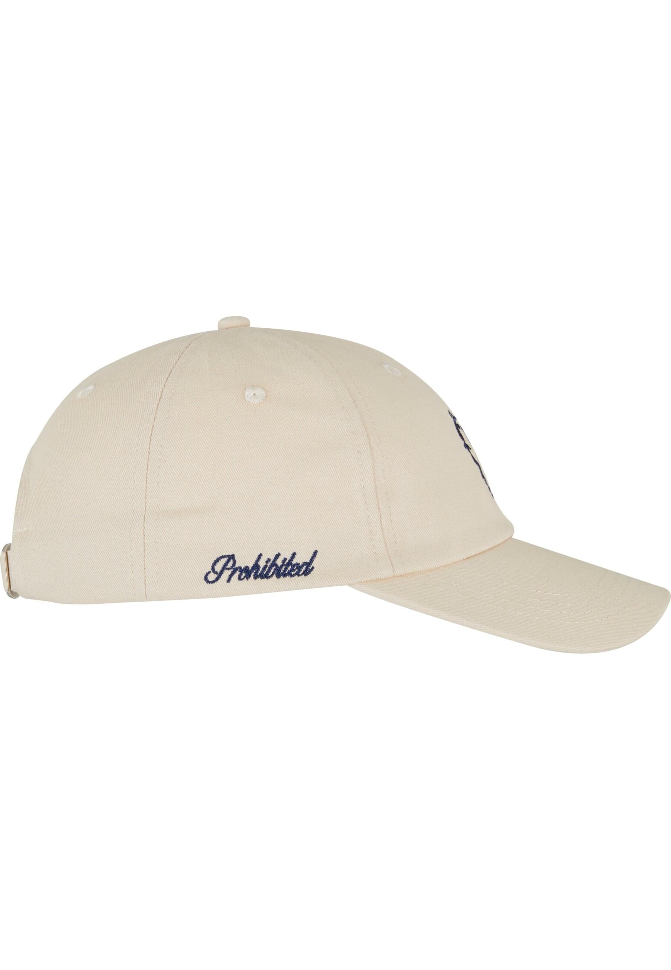 Prohibited Cap in Grau