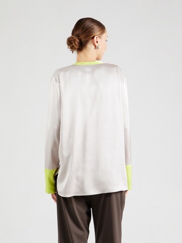 Emily Van Den Bergh Bluse in Grau