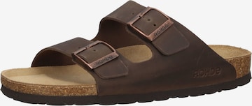 ROHDE Mules in Brown: front