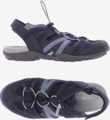 GEOX Sandals & High-Heeled Sandals in 38 in Blue: front