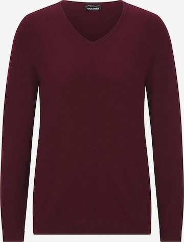Goldner Sweater in Red: front