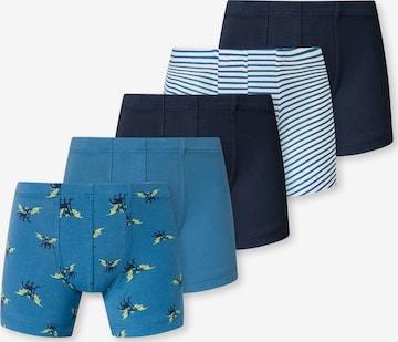SCHIESSER Retro Boxer ' 95/5 Organic Cotton ' in Blau: Vorderseite