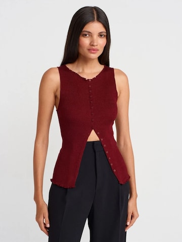 Dilvin Knit Cardigan 'Strickjacken' in Red: front