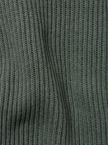 Nils Sundström Pullover in Grün