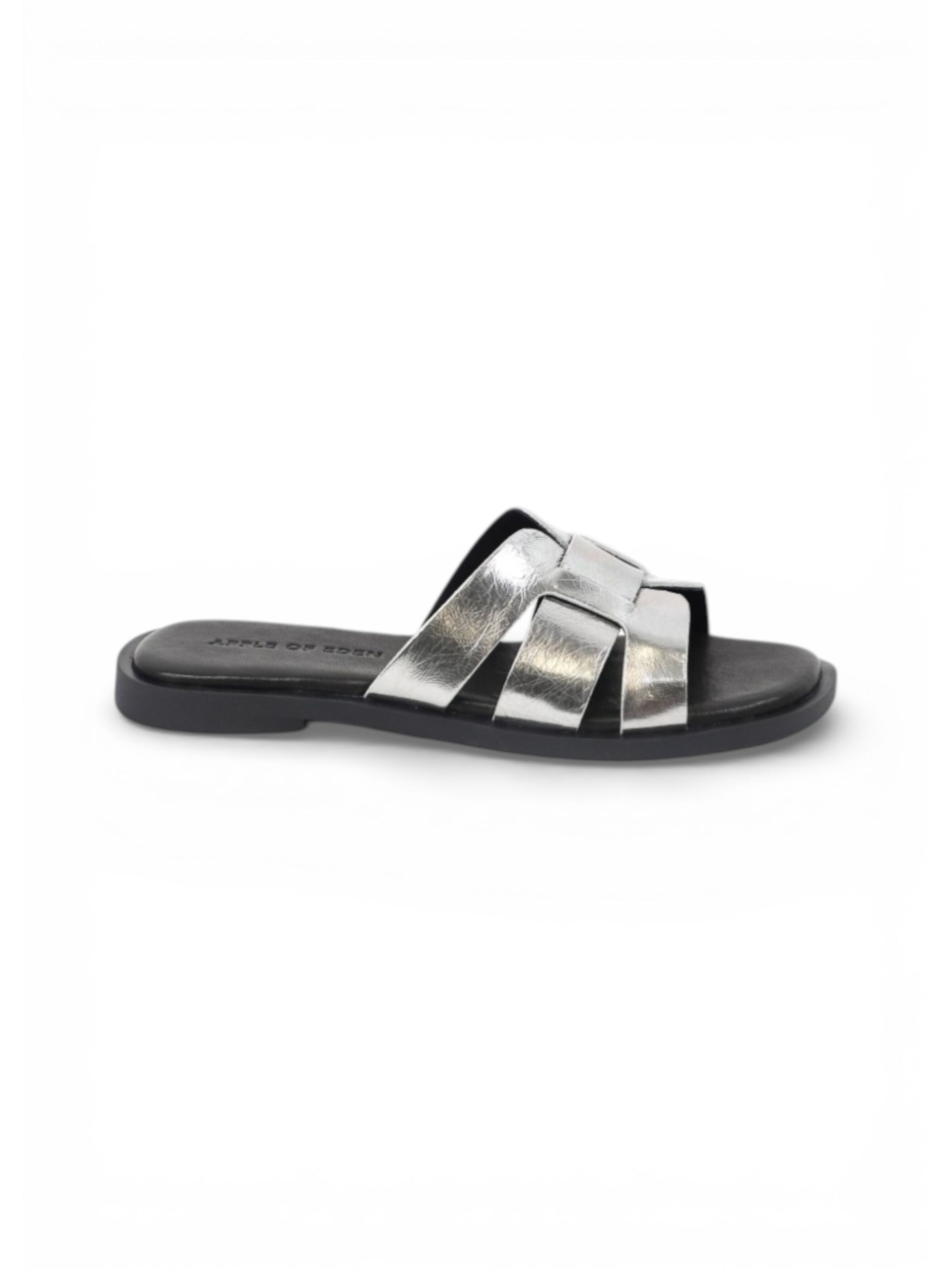 Apple of Eden Mules 'ALYCIA' in Black: front