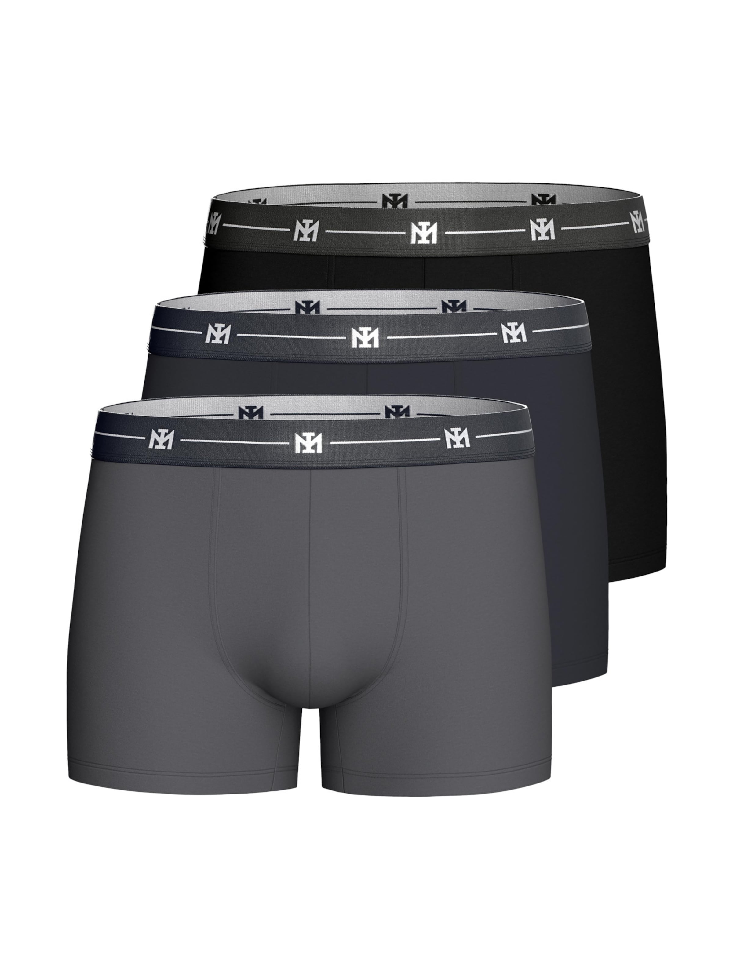 Boxers ' IM1221P09P3 ' IMPETUS en gris : devant