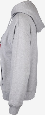 LEVI'S ® Sweatshirt 'Graphic Standard Hoodie' in Grau: predná strana