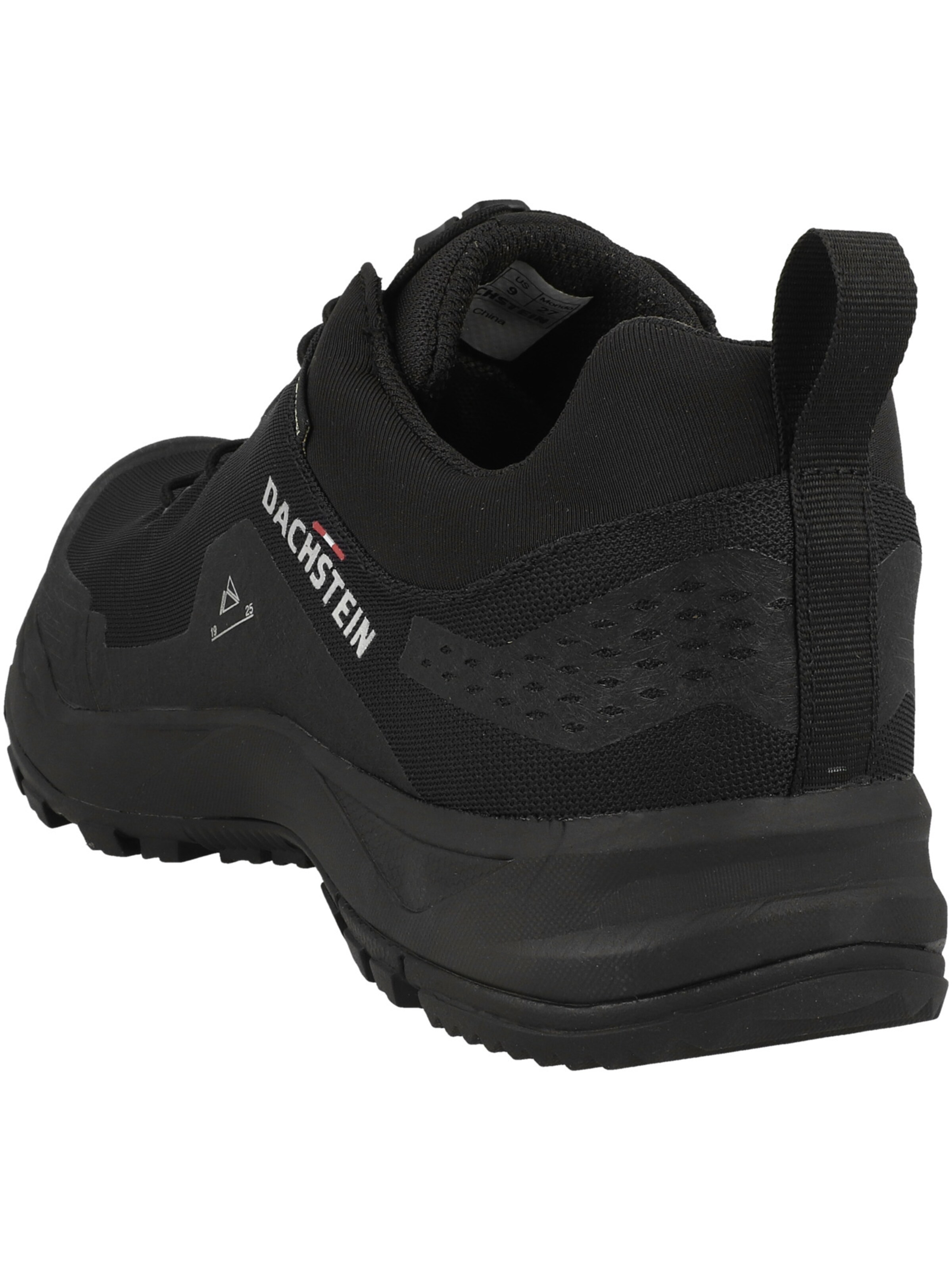 Chaussure basse 'Delta Peak GTX' Dachstein en noir